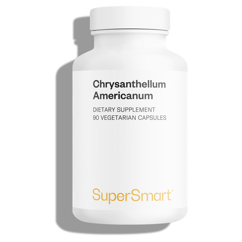 Chrysantellum Americanum Supplement