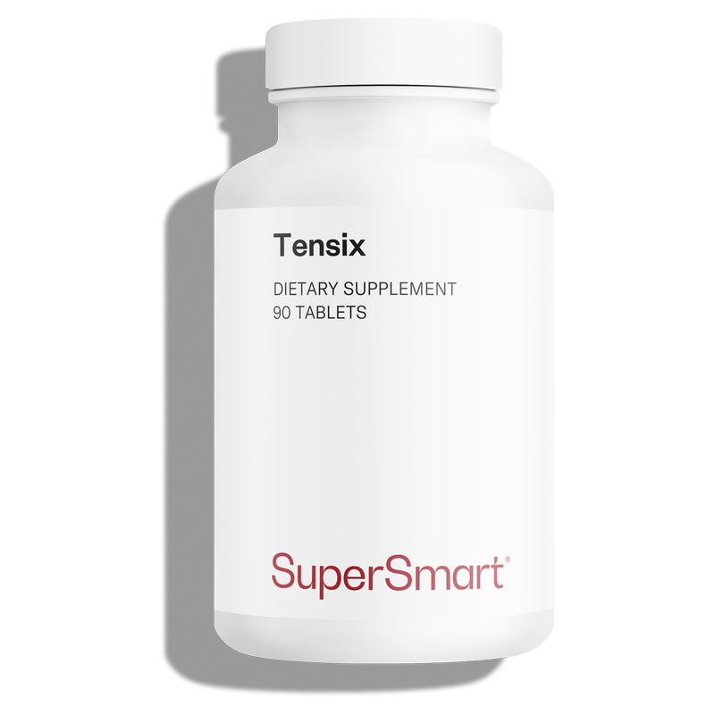 Tensix Supplement