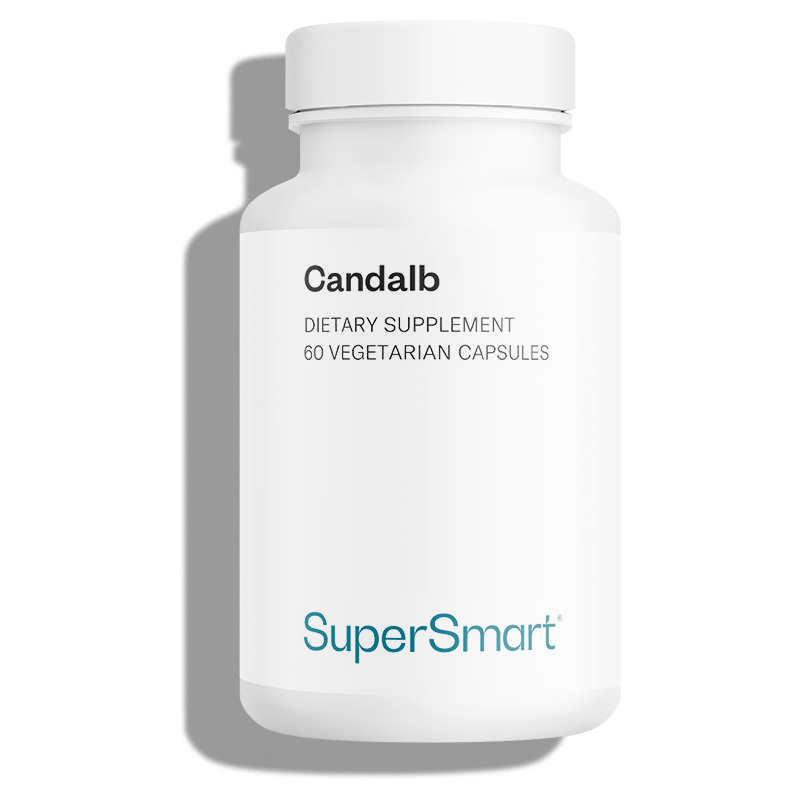 Candalb Supplement