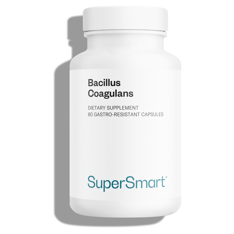 Probiotic Bacillus coagulans