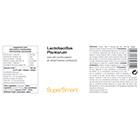 Probiotique de Lactobacillus plantarum HK L-137