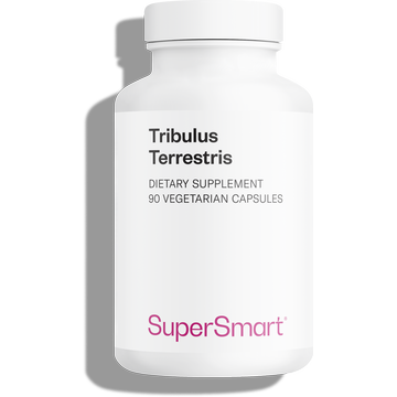 Tribulus Terrestris suplemento alimentar, 40% saponinas