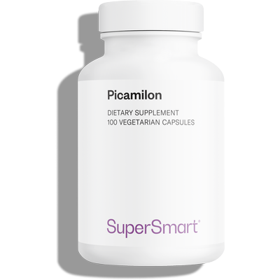 Picamilon Supplement