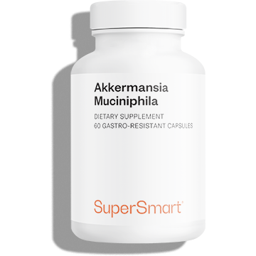 Probiotic Akkermansia Muciniphila