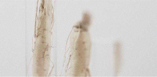 Impaired blood flow in orthostatic hypotension Everything you need to know about orthostatic hypotension