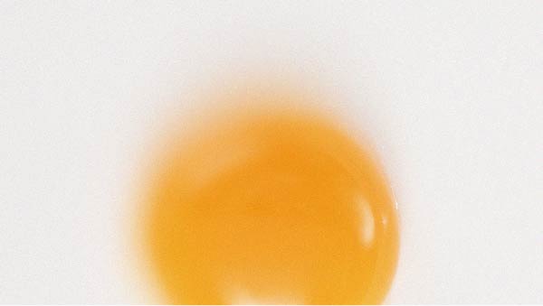 Egg yolk How to correct low serum folate levels