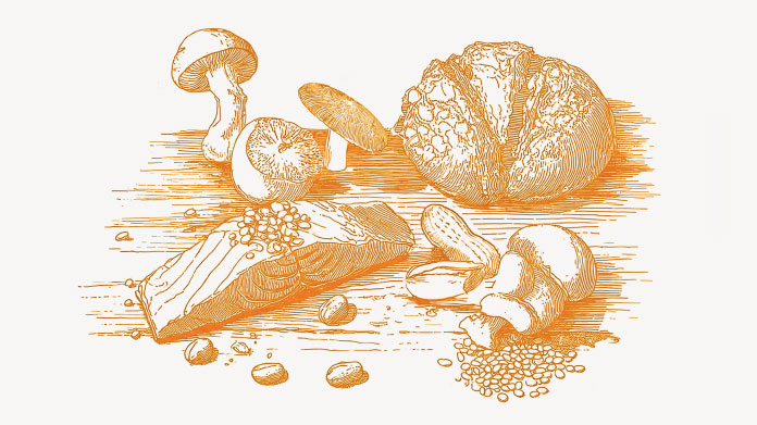 Foods rich in vitamin B3 Discover the foods richest in vitamin B3