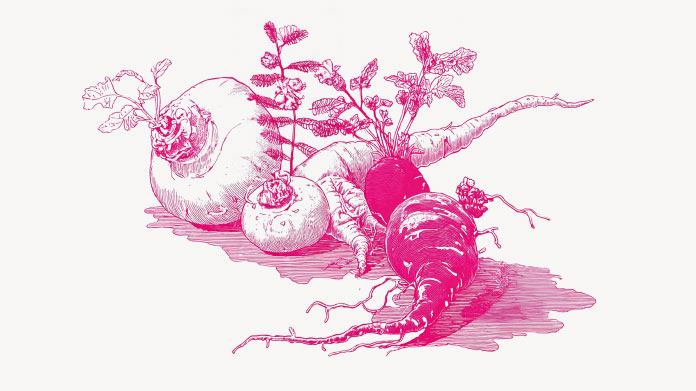 Plants with aphrodisiac effects Discover the list of natural aphrodisiacs for your sex life