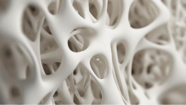 Bone structure How diet can influence joint health