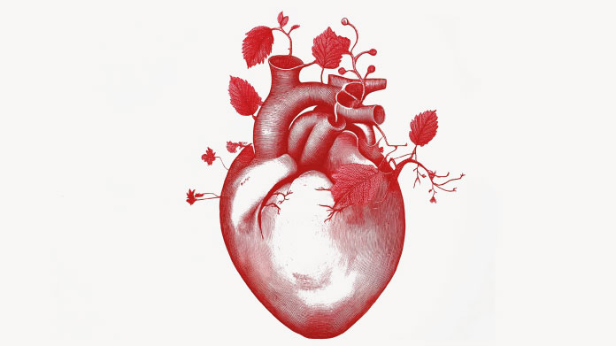 Heart and natural approach Natural approach against cholesterol