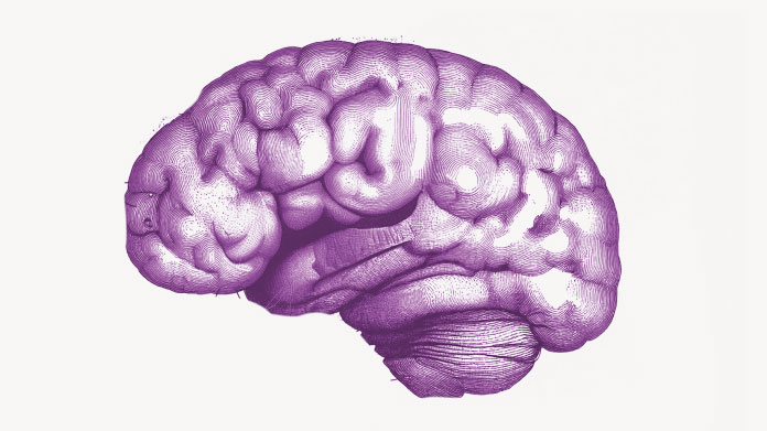Human brain Find out whether choline can reduce neurological disorders