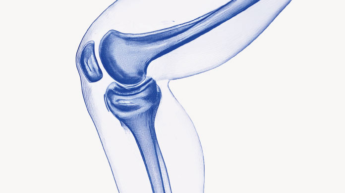 Regeneration of cartilage