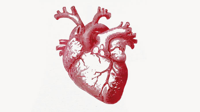 Healthy heart Blood thinning