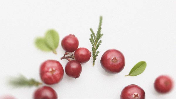 Cranberries The relationship between cranberries and urinary tract infections
