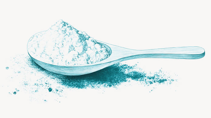 Spoonful of glutamine powder The link between glutamine and intestinal permeability