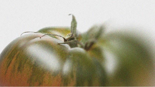 Tomato, a key ingredient of the Mediterranean diet New strategies to strengthen immunity
