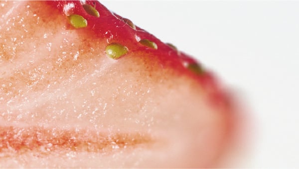 Strawberries are a source of fisetin, a potential calorie restriction mimetic A study explained everything you need to know about calorie restriction mimetics