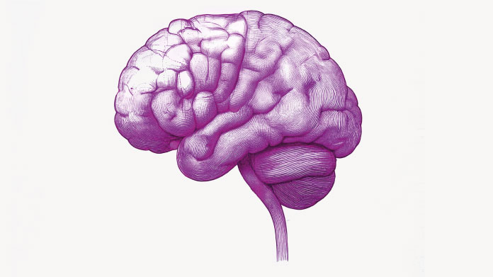 Brain with inflammation Brain inflammation and mental disorders