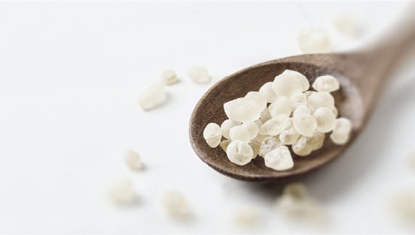 Mastic gum may help maintain good oral health Tips for supporting a balanced oral microbiota