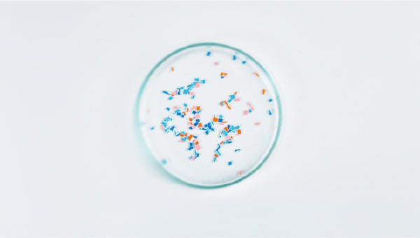 Microplastics The potential effects of microplastics on bone health