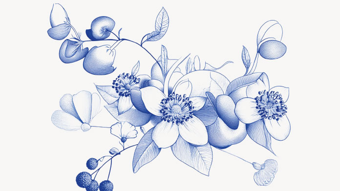 Relaxing plants Natural muscle relaxants