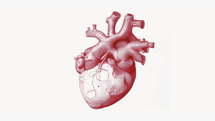 Pflanzen gegen Cholesterin