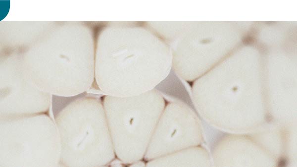 Garlic cloves Discover the difference between prebiotics and probiotics