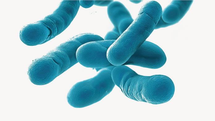 Probiotic microorganisms Probiotics to relieve irritable bowel