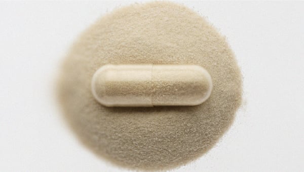 Probiotic supplement capsule Everything you need to know about using probiotics for gut health