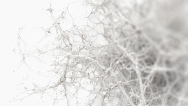 Neural network Discover the secret behind the gut’s efficiency