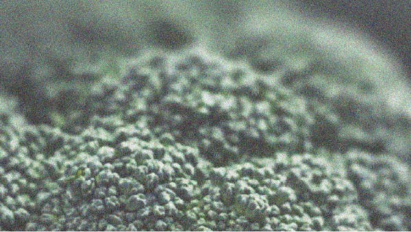 Broccoli, as a vegetable, may support hormonal balance Some foods may harm hormonal balance