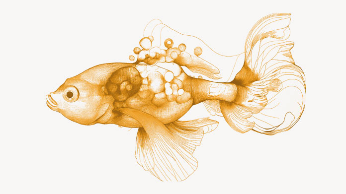 Fish as a source of vitamin B2 Everything you need to know about vitamin B2