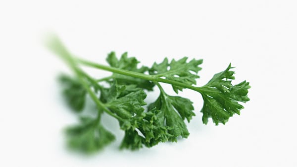 Parsley is a source of vitamin K1 Everything you need to know about vitamin K1