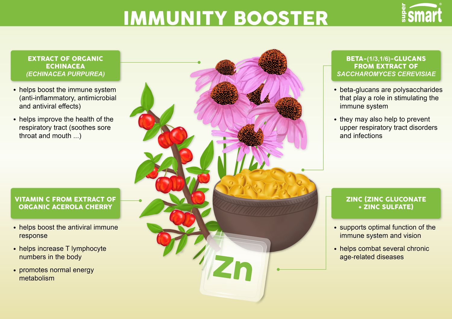 Immunity Booster An Organic Echinacea Supplement For Boosting Immunity